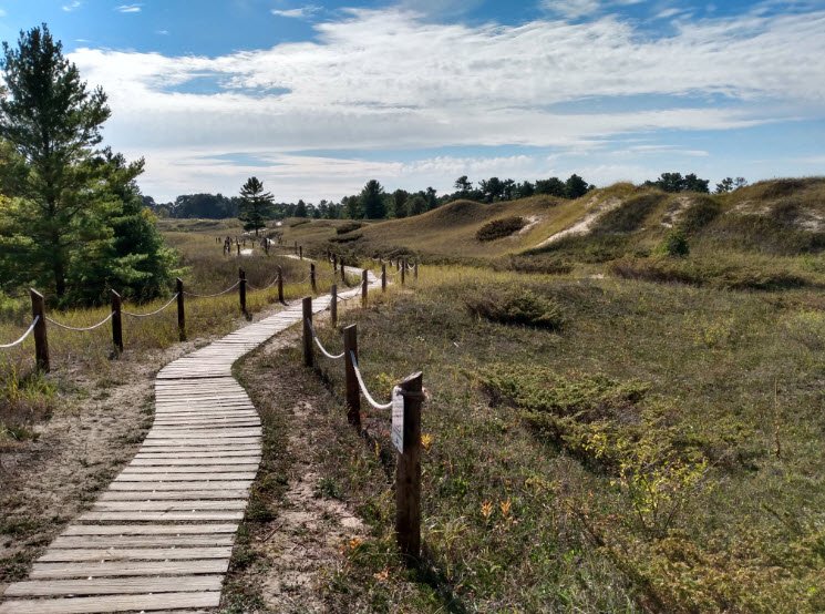 Kohler-Andrae State Park, Wisconsin, USA